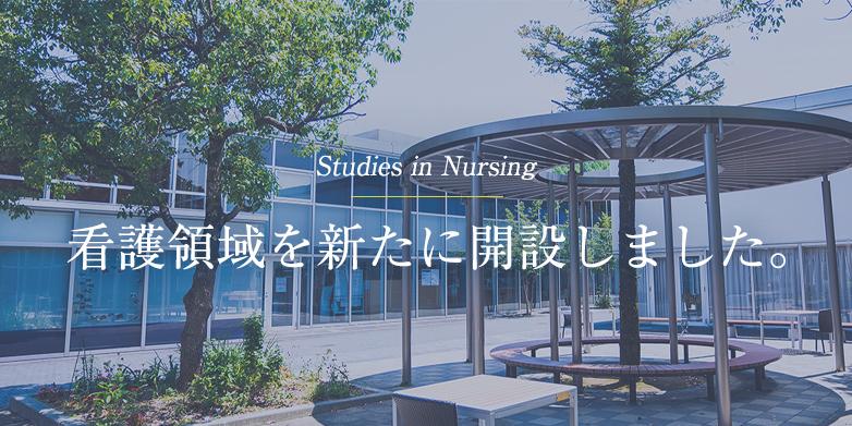 大学院 看護領域